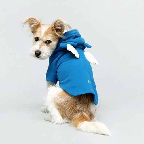 슈펫 엔젤자켓 강아지옷 (블루)