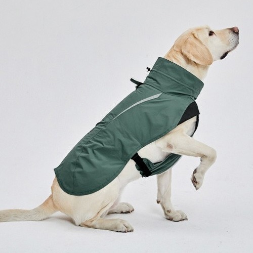 [20% 할인] 슈펫 윈드레인우비 바람막이형 강아지옷 (청록색)