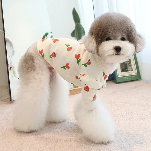 이츠독 하트 튤립 프릴 티셔츠 강아지옷 (크림)