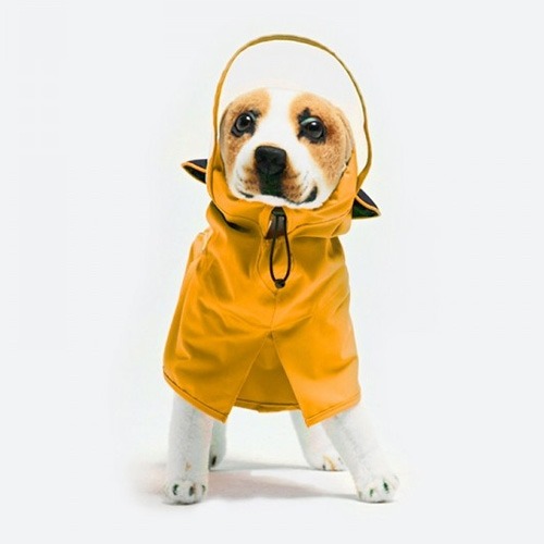 슈펫 햇레인커버3 강아지옷 우비 (오렌지)