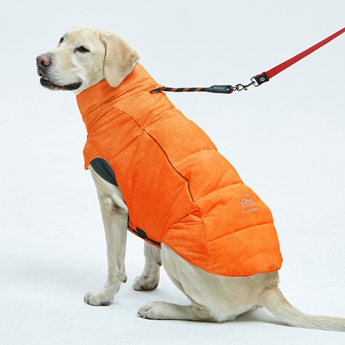 슈펫 패딩자켓 강아지 산책 옷 (오렌지)